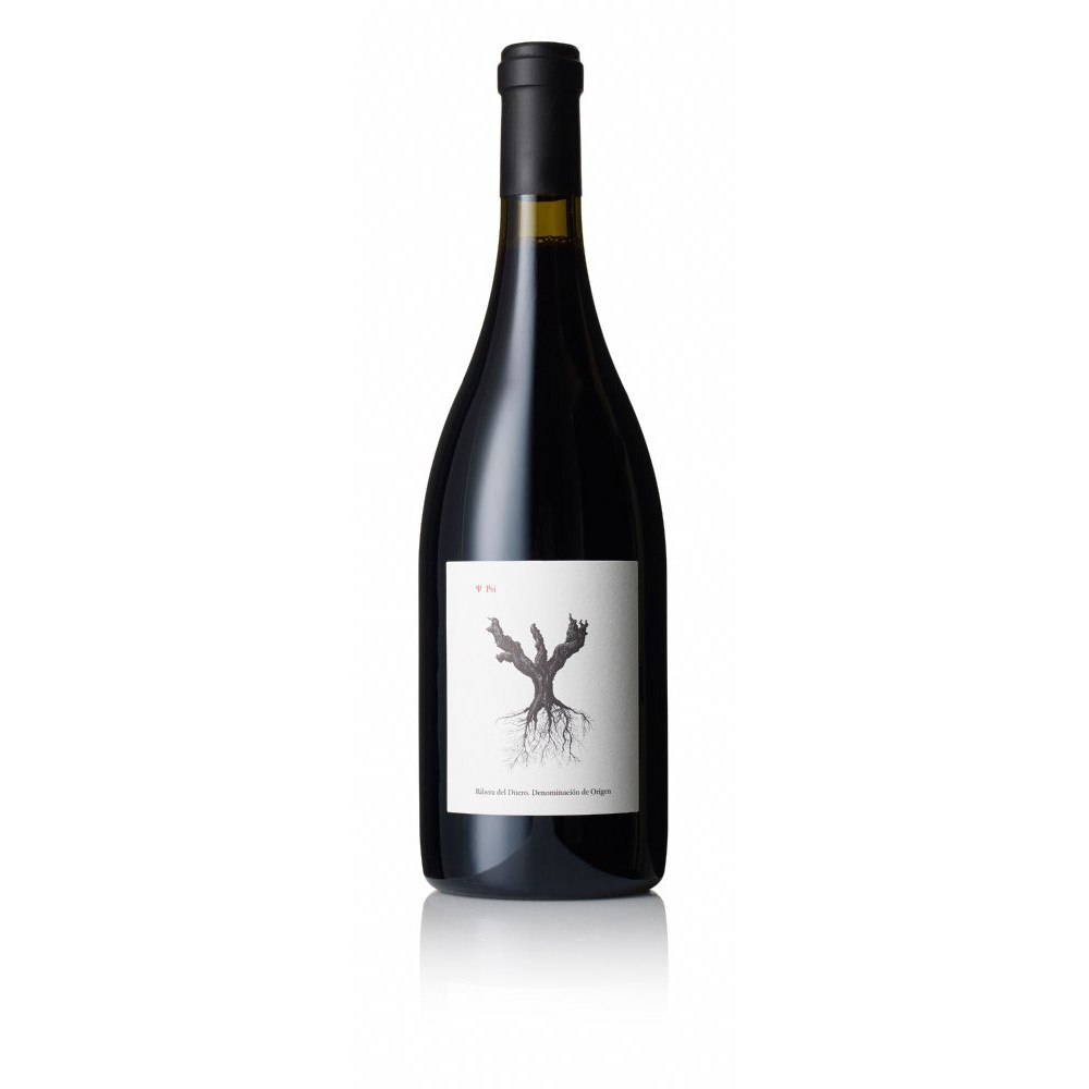 PeterSisseckPSI200975CL-30