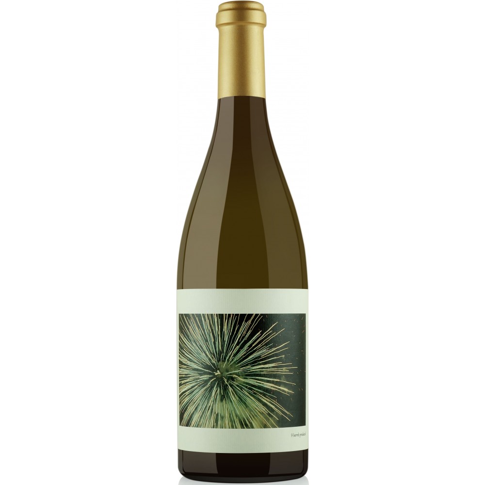 ChaninBienNacidoVineyardChardonnay2019-35