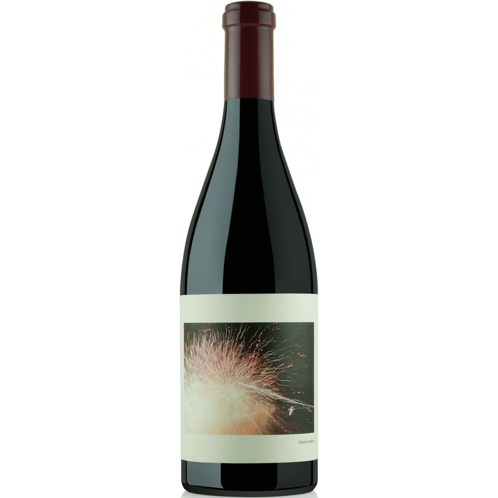ChaninZotovichVineyardPinotNoir2019-31